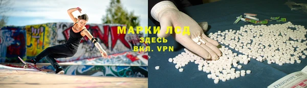 PSILOCYBIN Баксан
