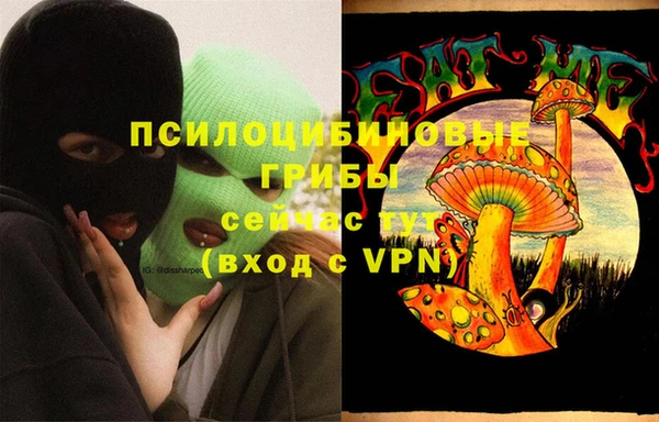прущий лед Дубна