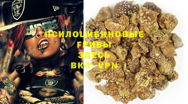 меф Арсеньев
